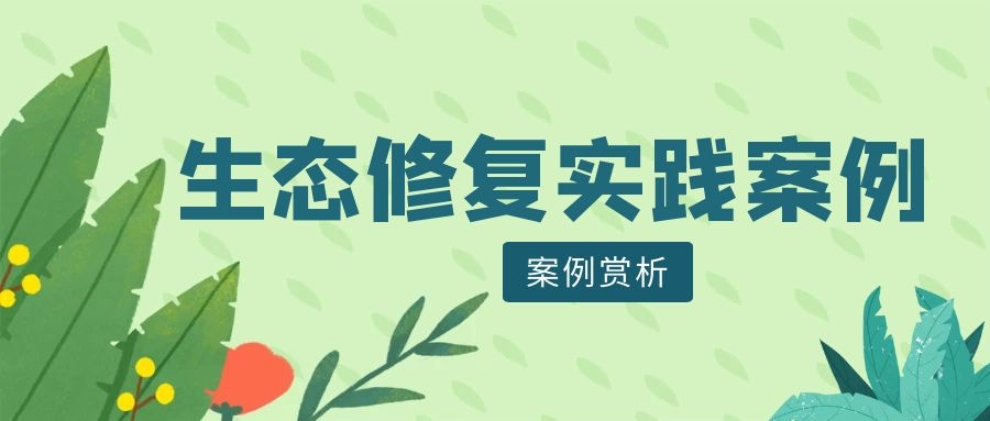 案例賞析 | 生態(tài)修復實踐案例